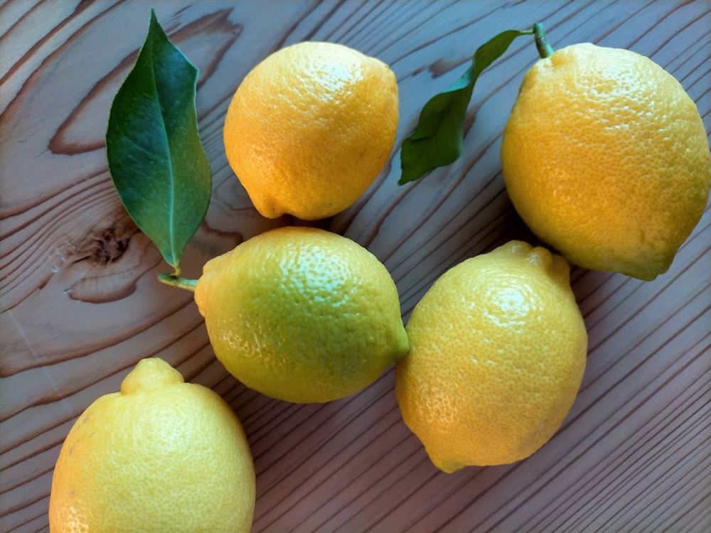 ENAMIFARM LEMON